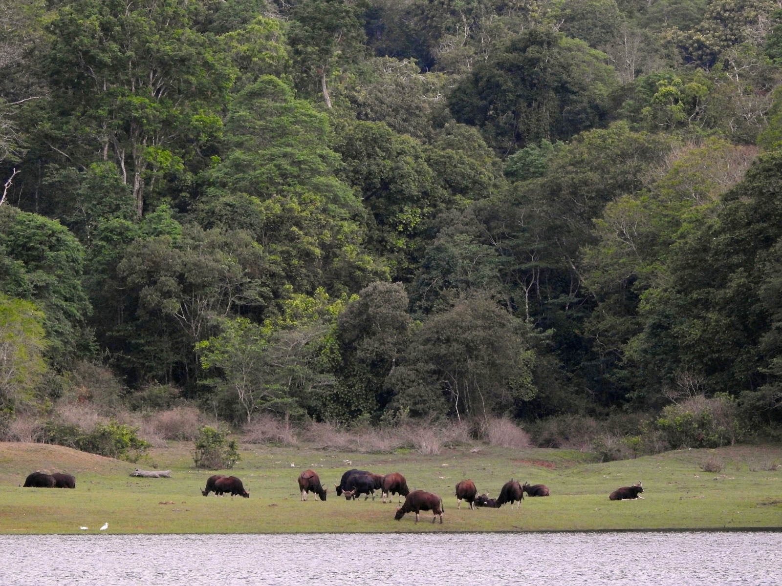 A view inside nation park