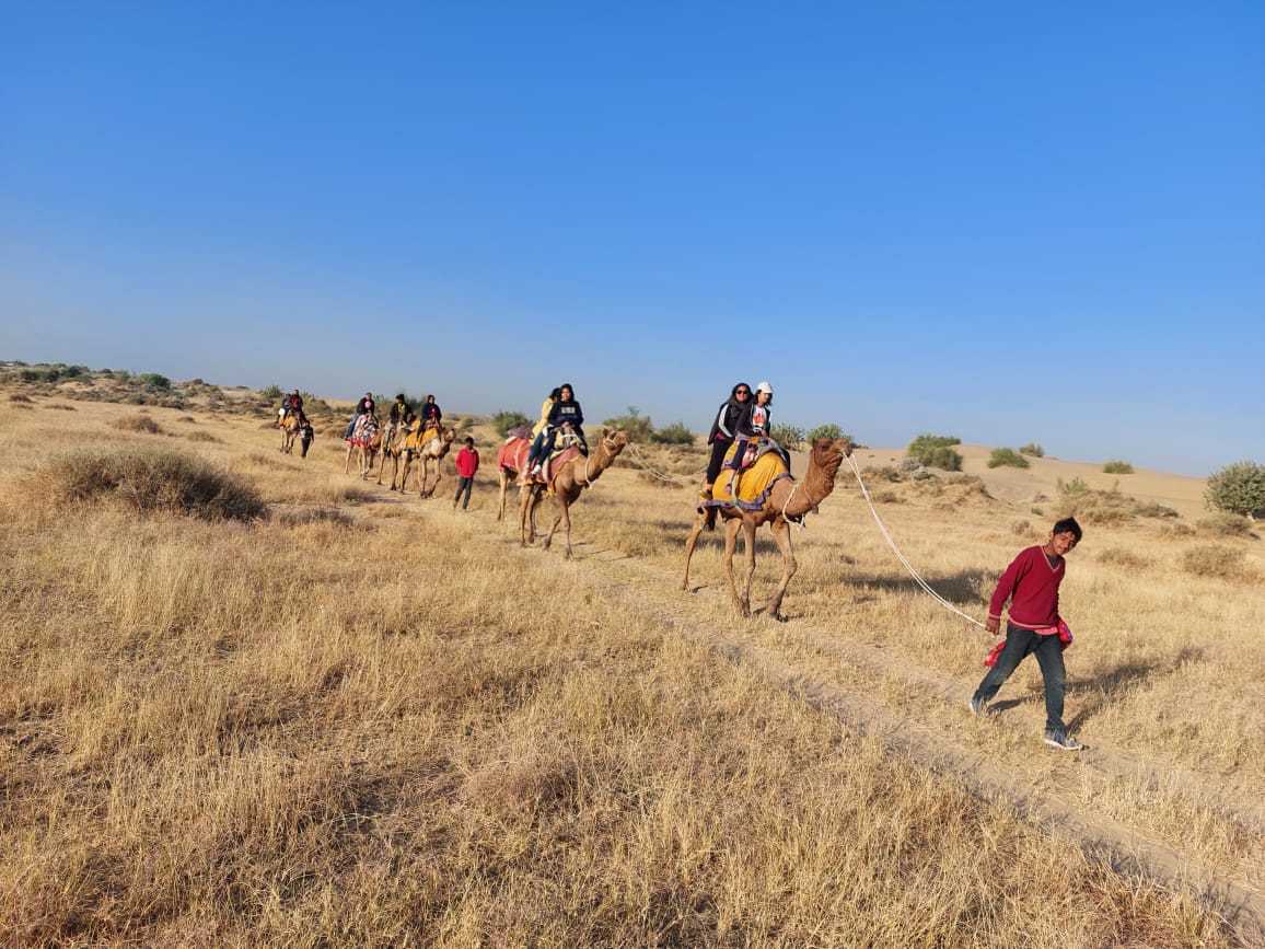 camel safari in desert