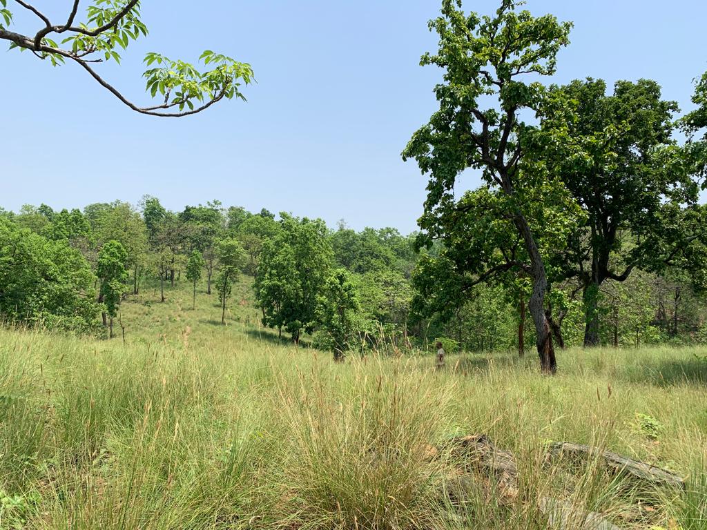 Jhargram-West Bengal