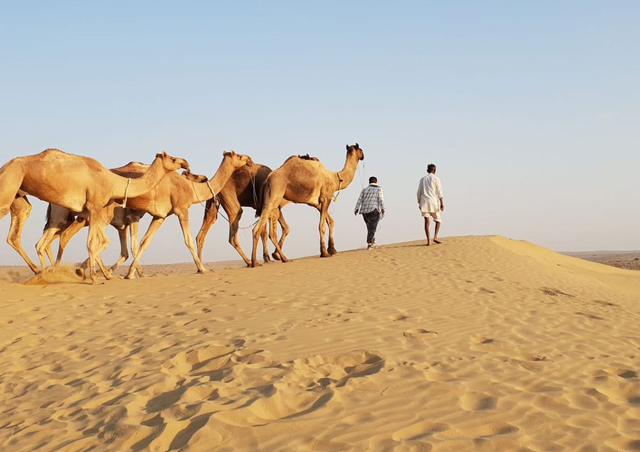 Rajasthan desert