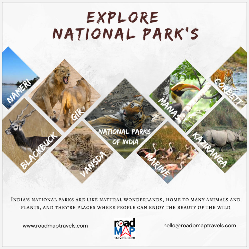 national park trip