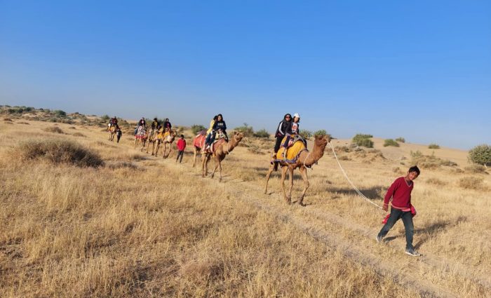 camel safari in desert