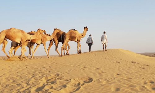 Rajasthan desert